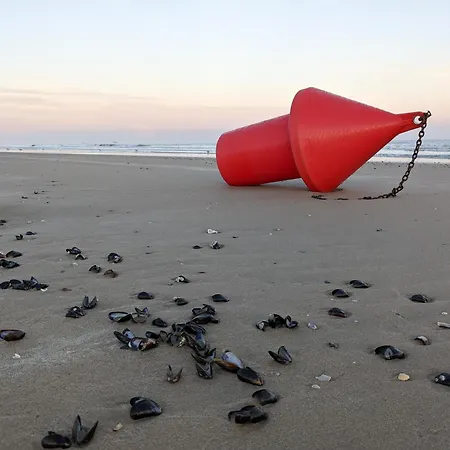 Vloed By Bloss, Familieappartement Met Buitenzwembad En Garage *
